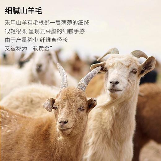 【桑蚕丝羊毛保暖内衣无痕男德绒】发热内穿加绒打底背心冬季抗菌上衣 商品图1