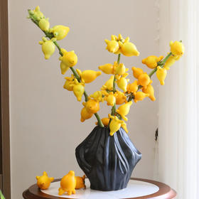 五代果丨1枝丨30cm-80cm【颜色有绿有黄，运输易掉果，不售后介意勿拍】