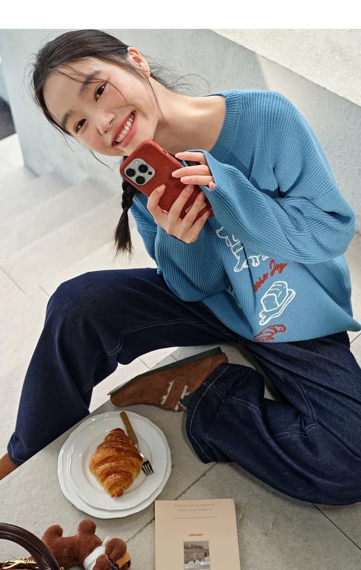 D112526刺绣针织衫宽松女2025秋冬季新款设计感休闲长袖毛衣 商品图9