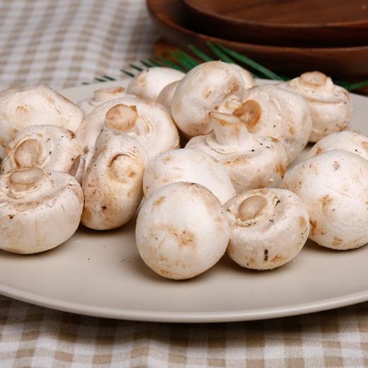 白蘑菇口蘑 200g 商品图1