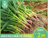 【叼鲜蔬】闽南古宅红头蒜苗/1份（约100g） 商品缩略图0