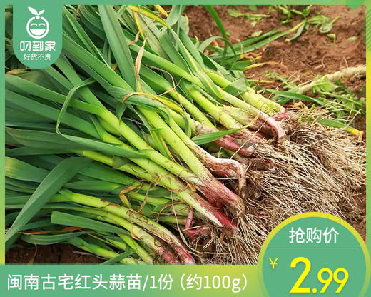 【叼鲜蔬】闽南古宅红头蒜苗/1份（约100g） 商品图0