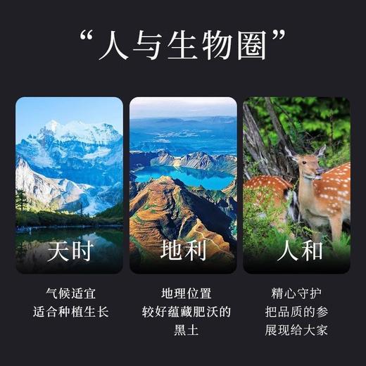 热售【酒浸保鲜参】长白山酒浸保鲜参+送6种散装泡酒材料 锁阳+鹿茸+当归+玛咖+灵芝+枸杞 商品图5