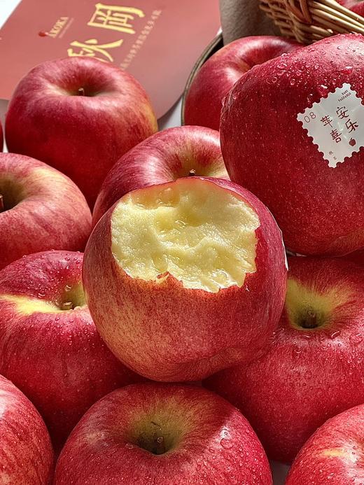 【2025新一批】在苹果的世界里探索更多可能【秋冈®EV苹果】坚持让果实在树上自然成熟，充分发展风味物质 商品图2