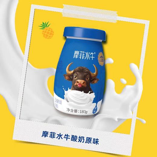 君乐宝摩菲水牛(原味/西柚凤梨味)常温酸奶180g*6瓶*5箱 商品图1