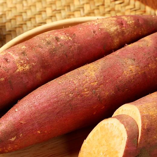 红薯 500g 商品图4