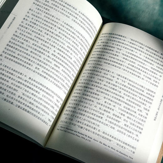 英国小说艺术史 中外语言文学学术文库 李维屏著 商品图11