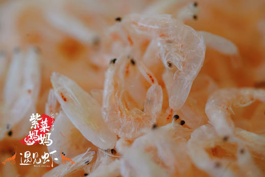 必拍｜紫菜妈妈好吃虾皮 商品图1