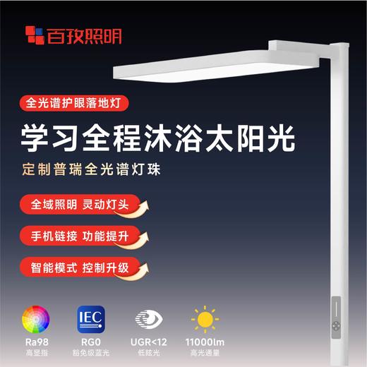 百孜全光谱护眼钢琴大路灯落地护眼灯儿童读写台灯学习专用阅读灯 商品图0