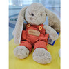 25cm安妮兔玩偶公仔毛绒玩具生日礼物毛绒公仔-纪念日百货门店同款167843579 商品缩略图2