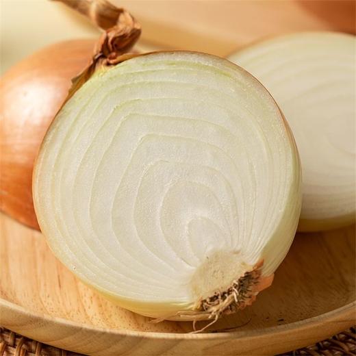 黄洋葱 1个 商品图3