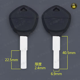 〖6130〗大阳电动车平板