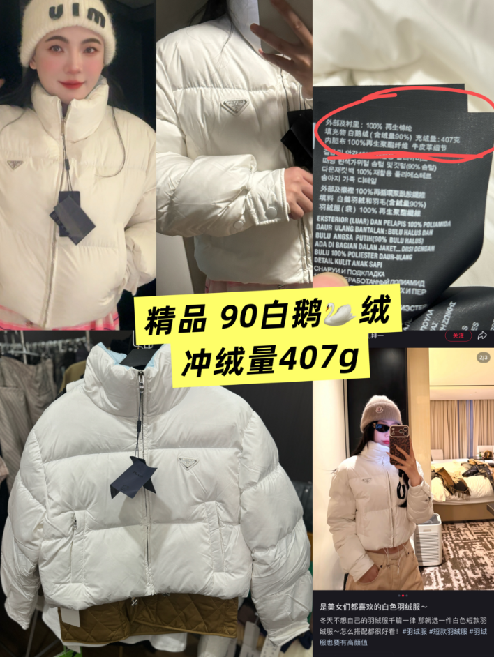 普la达-短款立领棉服冬季保暖防风轻便百搭外套