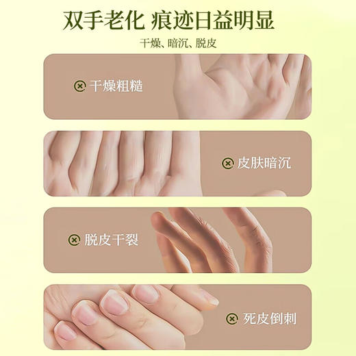 TWG-洋甘菊护手霜500g 商品图1