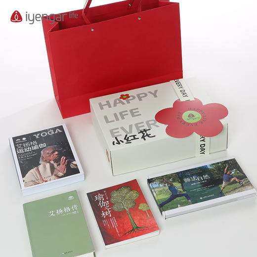 艾扬格 life F1113礼物盒生日礼盒空盒子创意高级礼物盒仪式感礼品盒包装惊喜伴手礼盒 商品图6