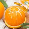 【京东快递】秭归九月红脐橙 专属于秋天的【甜】皮薄肉满 无籽无渣  糖度高达12° 9分甜1分酸10分香 BCS 商品缩略图5