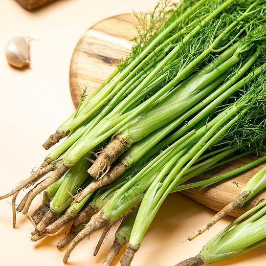 茴香 300g 商品图2