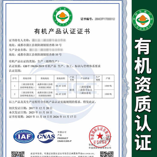 包邮【厂商直发】四川浦江有机不知火丑橘 中大果5斤/8斤 甜蜜多汁 商品图1