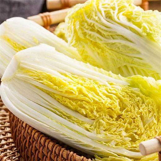 小娃娃菜 3颗 商品图4