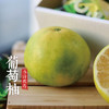 伟诗优选 | 葡萄柚 商品缩略图3