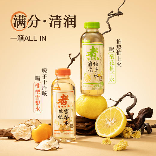 【节日礼盒】 可可满分 中式茶饮礼盒+无糖椰乳礼盒 8200ml（赠吨吨杯1） 商品图2