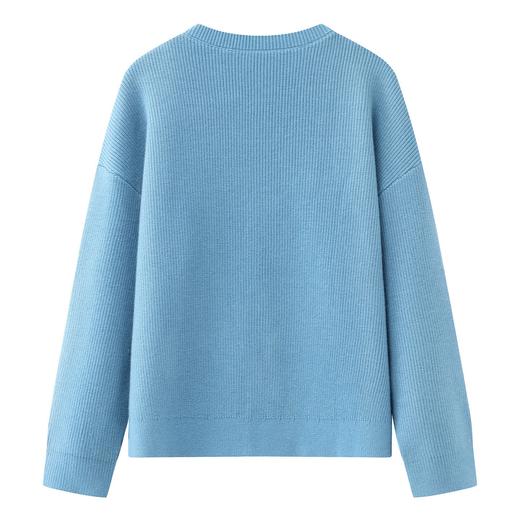 D112526刺绣针织衫宽松女2025秋冬季新款设计感休闲长袖毛衣 商品图1