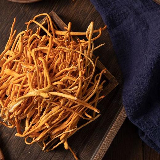 虫草花 100g 商品图4