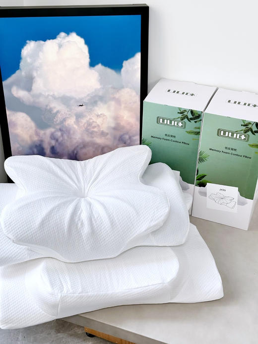 D112534支撑颈部的基本构造有效改善睡眠质量立体蝴蝶枕 商品图1