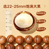 【长期集采】洽洽坚果派夏威夷果奶香味罐装500g/实惠装 商品缩略图2