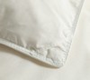 舒雅生活舒眠羽绒被面料,85%聚酯纤维,15%棉,填充,100%白鸭绒（绒子含量50%）（M1400g/L1600g)12040281/12040282 商品缩略图4