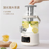 AIYOUTH艾青春3升大容量养生壶  AI-YSH888（带滤网） 商品缩略图7