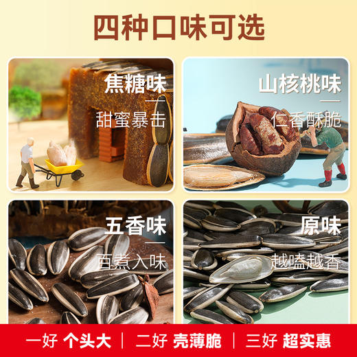 【长期集采】毛嗑五香瓜子500g 商品图4