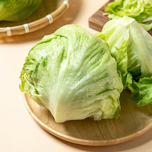 球生菜 1颗（次日达/配送到家） 商品图1