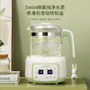 AIYOUTH艾青春智能恒温调奶器（养生壶） AI-TN08 商品缩略图2
