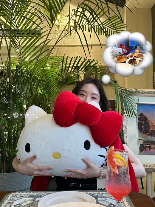 D112537二合一法兰绒抱枕毛毯黑皮豹纹组合毯靠垫 商品图6