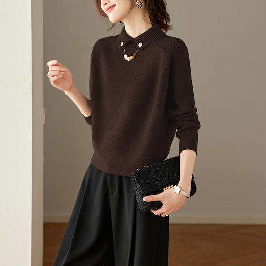 CC复古保暖毛衣女秋冬宽松显瘦内搭高级感好看减龄娃娃领针织上衣厚 商品图3