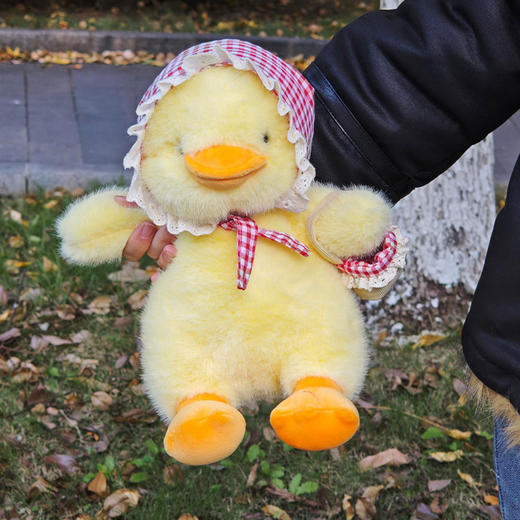 30cm小红帽鸭毛绒公仔玩具-纪念日百货门店同款167894093 商品图2