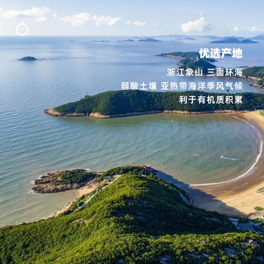 企鹅市集|浙江象山红美人 多规格可选 柑橘皇后 果肉甜蜜晶莹 软嫩无渣 商品图4