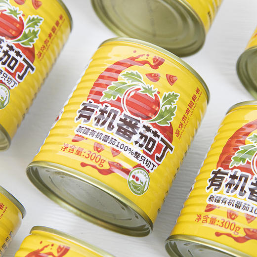 半亩园新疆有机番茄丁 净重300g*6罐 商品图4