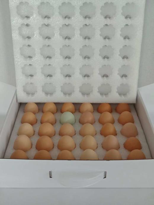 有机山鸡蛋  30枚/40枚/箱 商品图10