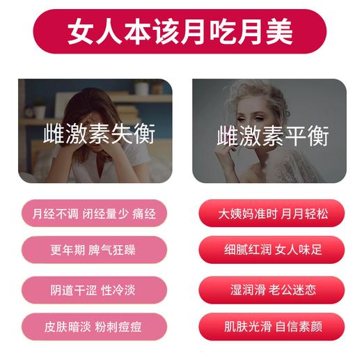 金王纯花粉+伴侣（10g*12袋花粉+3g*12袋伴侣） 商品图2