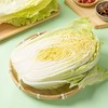 大白菜 1颗 商品缩略图2