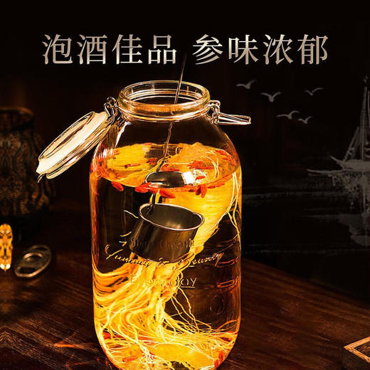 热售【酒浸保鲜参】长白山酒浸保鲜参+送6种散装泡酒材料 锁阳+鹿茸+当归+玛咖+灵芝+枸杞 商品图6