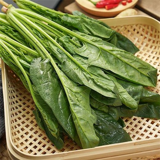 菠菜 250g 商品图1