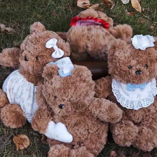 25cm小号云朵小熊毛绒公仔-纪念日百货门店同款167796442 商品图2