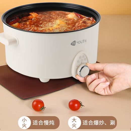 AIYOUTH艾青春5L电火锅AI-HG501 商品图3