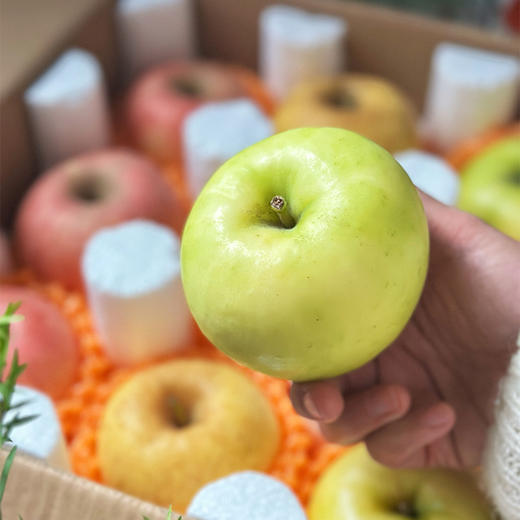 【高山苹果•三色拼装】一箱吃遍三种甜，吃一次就上瘾！黄金维纳斯   一款 “被阳光吻过的酥甜小太阳”瑞雪苹果      一位“不染凡尘的纯净白雪公主”红富士苹果   一位 “永不过时的脆甜顶流~” 商品图7