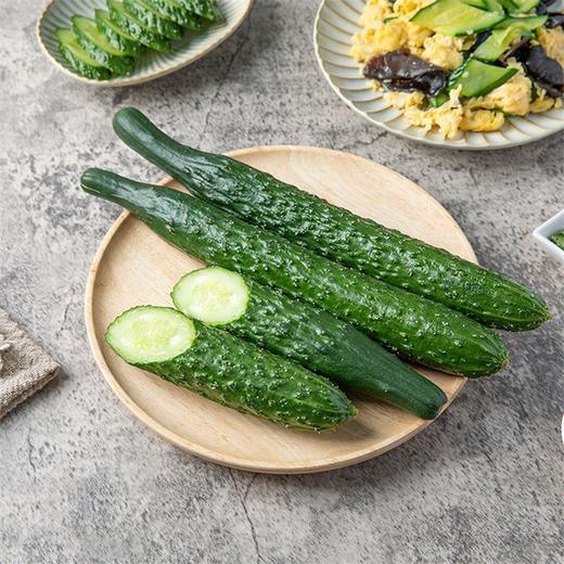 长黄瓜 450g~500g（次日达/配送到家） 商品图1