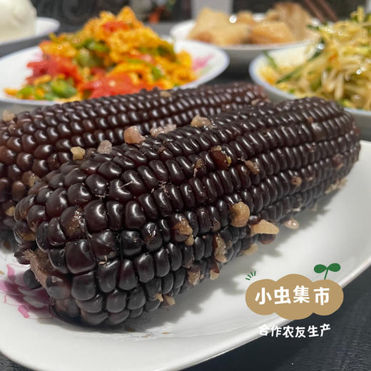 有机鲜食黑糯玉米棒 （非即食需加热食用） | 合作农友生产，来自山西忻州，生产者：玉米兄弟 *【公平贸易农人定价】 商品图6