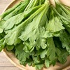 茼蒿 250g（次日达/配送到家） 商品缩略图4